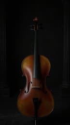Cello Veil