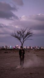 Árbol Sin Raíz