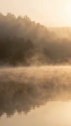 Softest Light