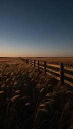 Plains Night
