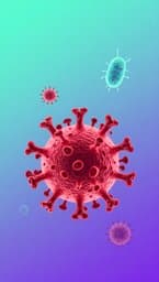 Herpes e Donovanose: Cuidado e Prevenção
