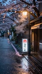 Tokyo Rainy Afternoon
