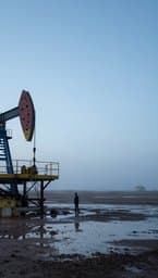 Oil And Dust