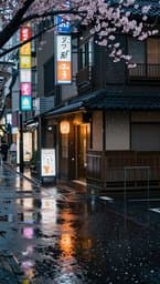 Tokyo Rainy Afternoon