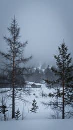 Fjord Echo