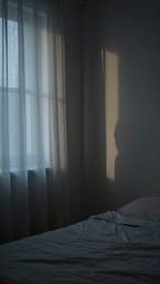L'Ombre des Matins