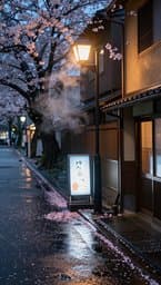 Tokyo Rainy Afternoon