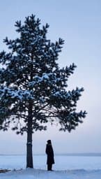 Frostwake