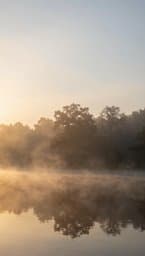 Warmth Rising