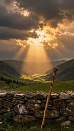 Safe Pastures
