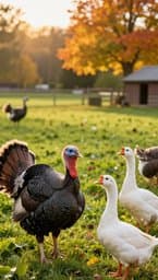 Pure Pasture feast