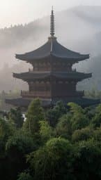 Shadows of the East
