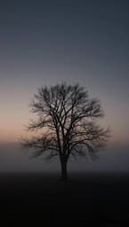 L'Ombre Silencieuse