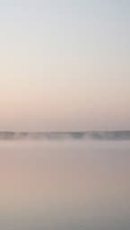 Stillness