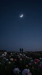 星の消えない夜