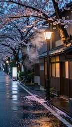 Tokyo Rainy Afternoon