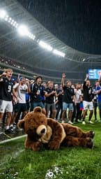 Bears Still Suck