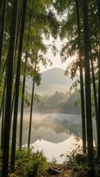 Quiet Flow
