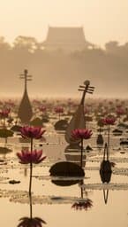 Lotus Morning in Udon