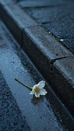 Feelings on the Curb