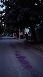 Mulberry Stains