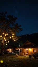 Village Nights