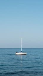 Safe Harbor