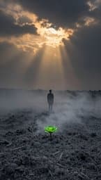Rising from the Ashes