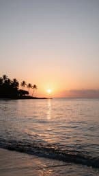 Island Drift