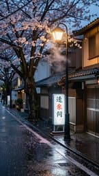 Tokyo Rainy Afternoon