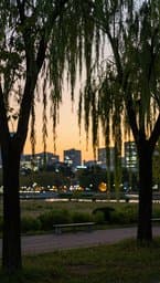 Seoul Sunset Chill