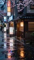 Tokyo Rainy Afternoon