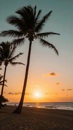Island Sunshine