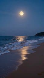 Midnight Sands
