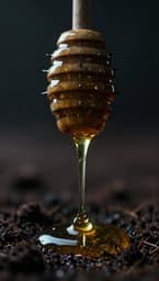قطرة سم بالعسل