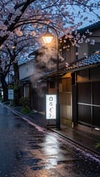 Tokyo Rainy Afternoon