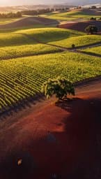 Jory: Oregon's Volcanic Heart