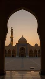 Madina Nights