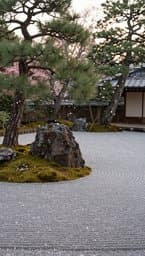 Zen Garden Serenity