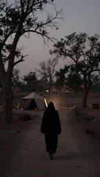 دیوانه (The Madman)