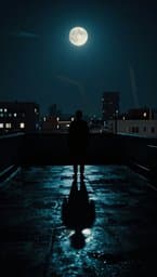 Midnight Frequency