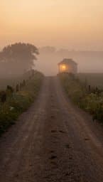 The Old Dirt Road