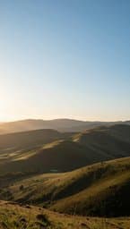 New Horizon