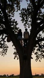 Sitting In A Tree (And The Bins)