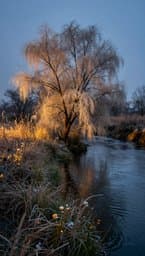 Silver River