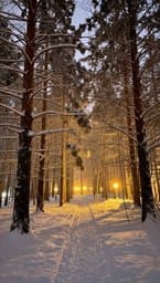 Silent Winter Dreams