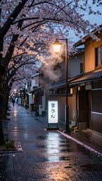 Tokyo Rainy Afternoon
