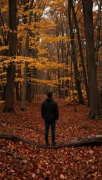 The Road Less Traveled