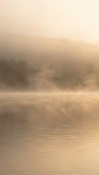 Inner Light