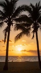 Tropical Bass